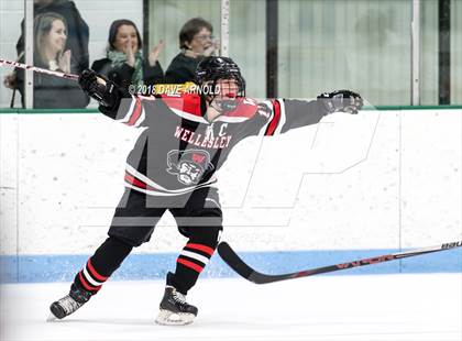 Thumbnail 2 in Wellesley @ Needham photogallery.