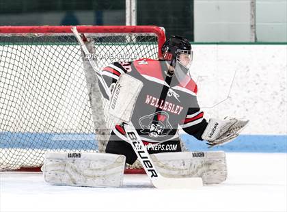 Thumbnail 2 in Wellesley @ Needham photogallery.