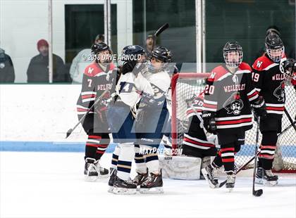 Thumbnail 1 in Wellesley @ Needham photogallery.