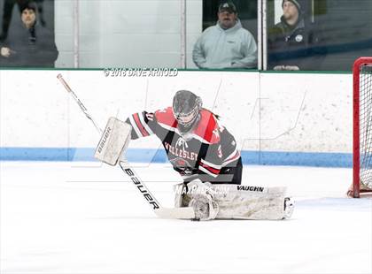 Thumbnail 1 in Wellesley @ Needham photogallery.