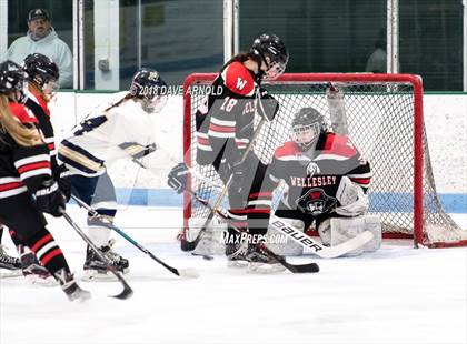 Thumbnail 1 in Wellesley @ Needham photogallery.