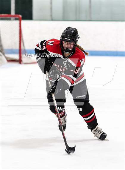Thumbnail 3 in Wellesley @ Needham photogallery.