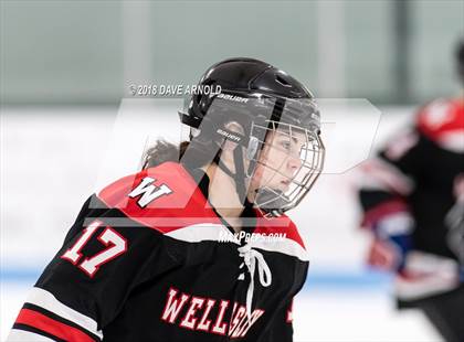 Thumbnail 2 in Wellesley @ Needham photogallery.