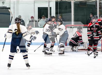 Thumbnail 2 in Wellesley @ Needham photogallery.