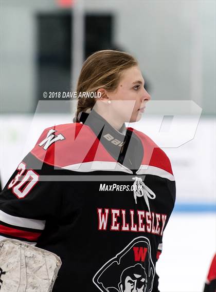 Thumbnail 1 in Wellesley @ Needham photogallery.
