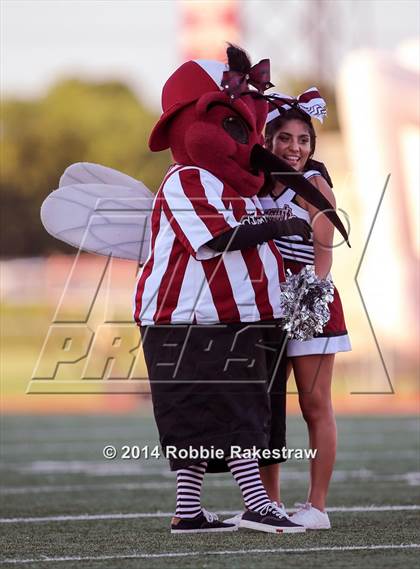 Thumbnail 1 in Garland @ Mesquite photogallery.