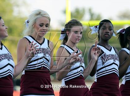 Thumbnail 1 in Garland @ Mesquite photogallery.