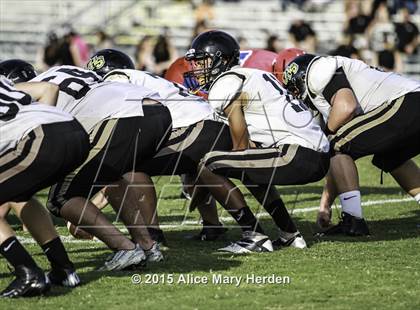 Thumbnail 2 in Citrus @ Springstead photogallery.