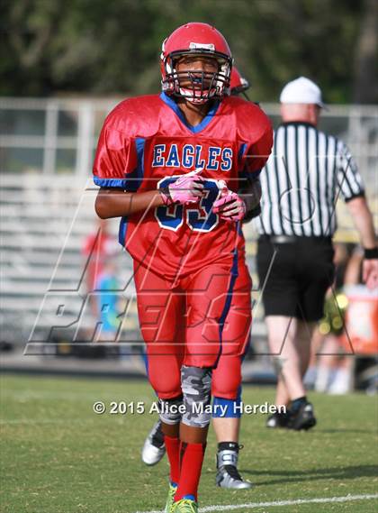 Thumbnail 1 in Citrus @ Springstead photogallery.