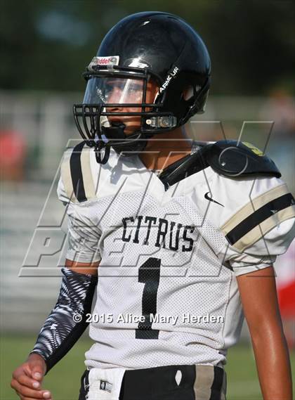 Thumbnail 3 in Citrus @ Springstead photogallery.
