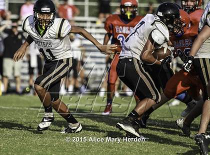 Thumbnail 3 in Citrus @ Springstead photogallery.