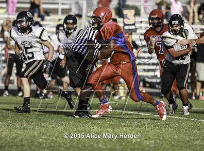 Thumbnail 3 in Citrus @ Springstead photogallery.