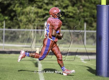 Thumbnail 1 in Citrus @ Springstead photogallery.