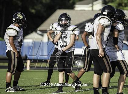 Thumbnail 1 in Citrus @ Springstead photogallery.