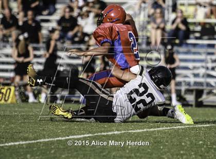 Thumbnail 2 in Citrus @ Springstead photogallery.