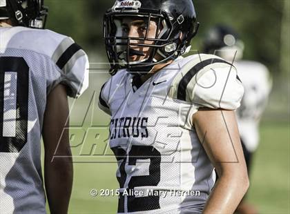 Thumbnail 2 in Citrus @ Springstead photogallery.