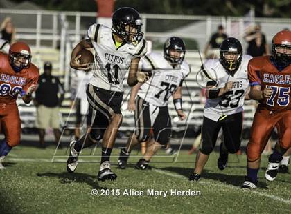 Thumbnail 3 in Citrus @ Springstead photogallery.