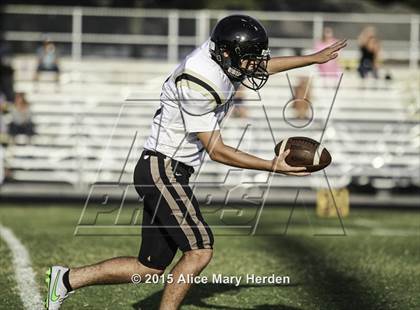 Thumbnail 2 in Citrus @ Springstead photogallery.