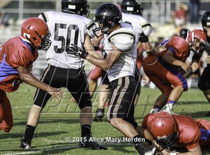 Thumbnail 3 in Citrus @ Springstead photogallery.