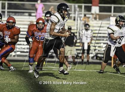 Thumbnail 2 in Citrus @ Springstead photogallery.