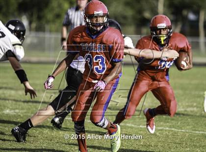 Thumbnail 3 in Citrus @ Springstead photogallery.