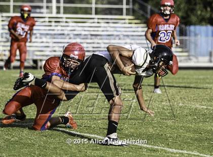 Thumbnail 1 in Citrus @ Springstead photogallery.
