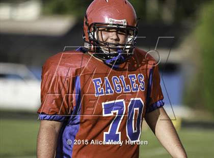 Thumbnail 2 in Citrus @ Springstead photogallery.