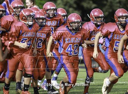 Thumbnail 3 in Citrus @ Springstead photogallery.