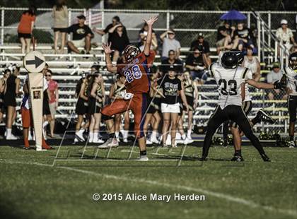 Thumbnail 1 in Citrus @ Springstead photogallery.
