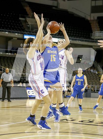 Thumbnail 3 in Newport Central Catholic vs Conner (Ninth Region) photogallery.