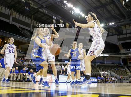 Thumbnail 1 in Newport Central Catholic vs Conner (Ninth Region) photogallery.
