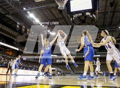 Thumbnail 2 in Newport Central Catholic vs Conner (Ninth Region) photogallery.
