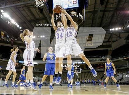 Thumbnail 1 in Newport Central Catholic vs Conner (Ninth Region) photogallery.