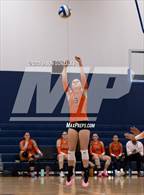 Photo from the gallery "Zephyrhills @ Patel"