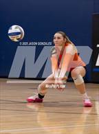 Photo from the gallery "Zephyrhills @ Patel"