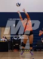 Photo from the gallery "Zephyrhills @ Patel"