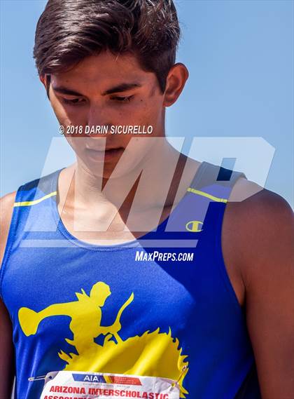 Thumbnail 3 in AIA Boys Track & Field Championships  (100/110 Meter Hurdles) photogallery.