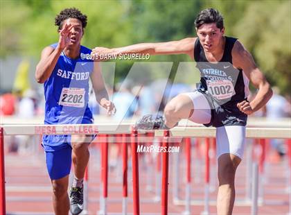 Thumbnail 1 in AIA Boys Track & Field Championships  (100/110 Meter Hurdles) photogallery.