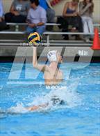 Photo from the gallery "Crespi @ Notre Dame (SO)"