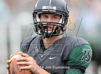 Thumbnail 1 in Lyons @ Glenbard West photogallery.