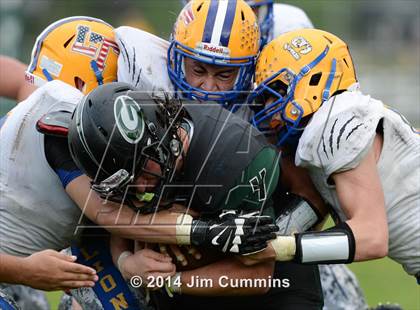 Thumbnail 1 in Lyons @ Glenbard West photogallery.
