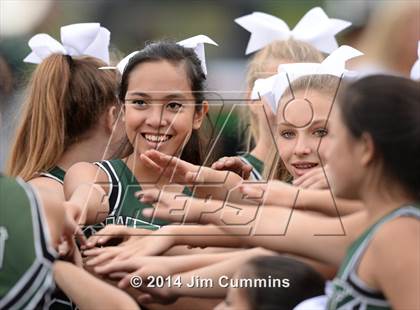 Thumbnail 3 in Lyons @ Glenbard West photogallery.