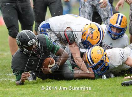 Thumbnail 2 in Lyons @ Glenbard West photogallery.