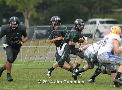 Thumbnail 1 in Lyons @ Glenbard West photogallery.
