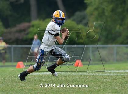 Thumbnail 1 in Lyons @ Glenbard West photogallery.