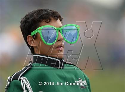 Thumbnail 1 in Lyons @ Glenbard West photogallery.