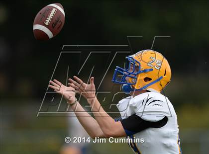 Thumbnail 3 in Lyons @ Glenbard West photogallery.