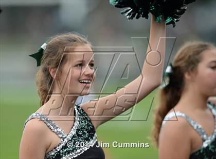 Thumbnail 1 in Lyons @ Glenbard West photogallery.