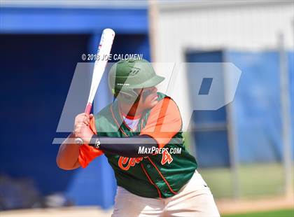 Thumbnail 1 in Burbank vs Houston [Sam] photogallery.