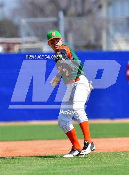 Thumbnail 1 in Burbank vs Houston [Sam] photogallery.